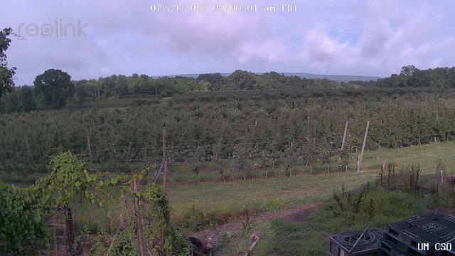 time-lapse frame, UM CSO webcam