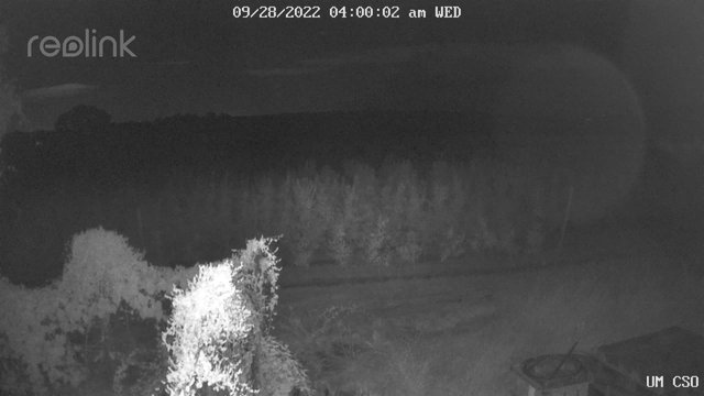 time-lapse frame, UM CSO webcam
