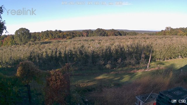 time-lapse frame, UM CSO webcam