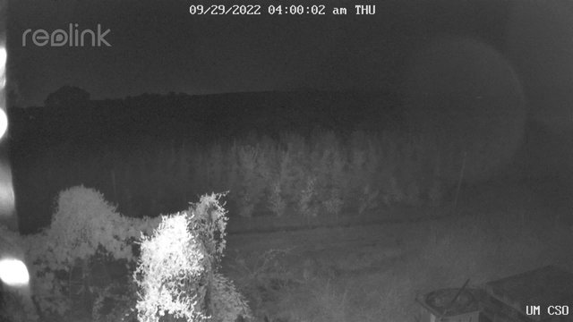 time-lapse frame, UM CSO webcam