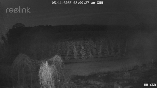 time-lapse frame, UM CSO webcam