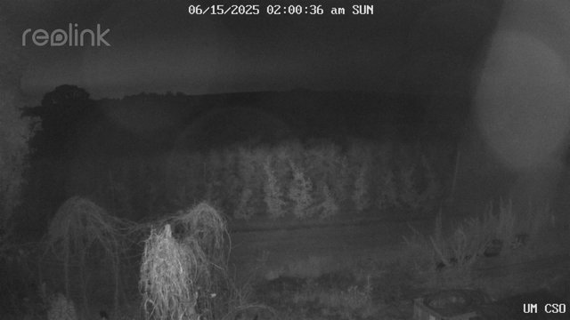time-lapse frame, UM CSO webcam