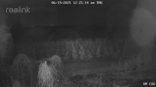 time-lapse frame, UM CSO webcam