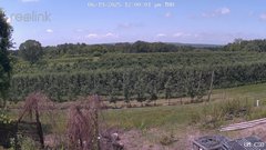 view from UM CSO on 2025-06-19