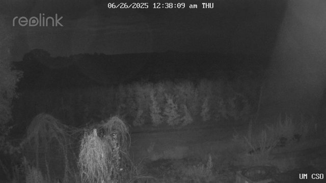 time-lapse frame, UM CSO webcam