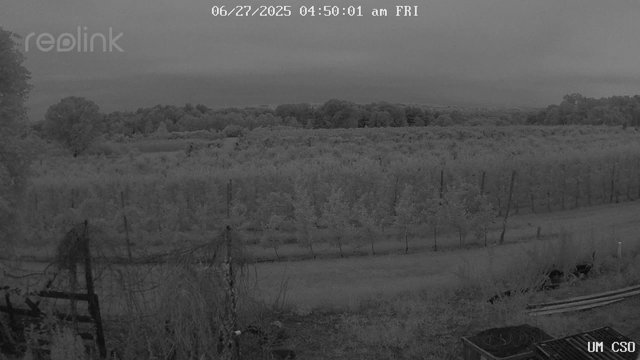time-lapse frame, UM CSO webcam