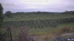 view from UM CSO on 2025-06-27