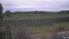 view from UM CSO on 2025-06-27
