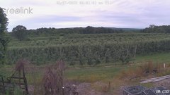view from UM CSO on 2025-06-27