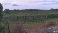 view from UM CSO on 2025-07-02