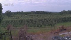 view from UM CSO on 2025-07-03