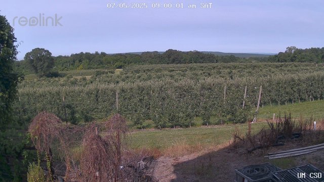 time-lapse frame, UM CSO webcam