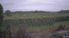 view from UM CSO on 2025-07-08