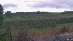 view from UM CSO on 2025-07-08