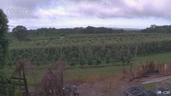 view from UM CSO on 2025-07-08