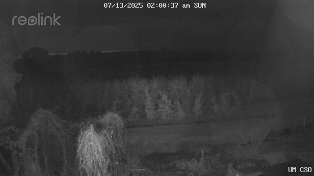 time-lapse frame, UM CSO webcam