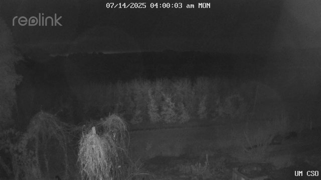 time-lapse frame, UM CSO webcam