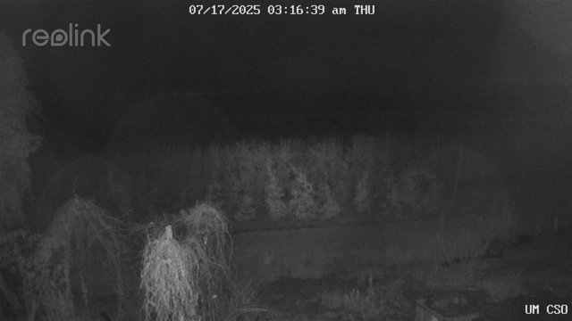 time-lapse frame, UM CSO webcam
