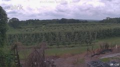 view from UM CSO on 2025-07-17
