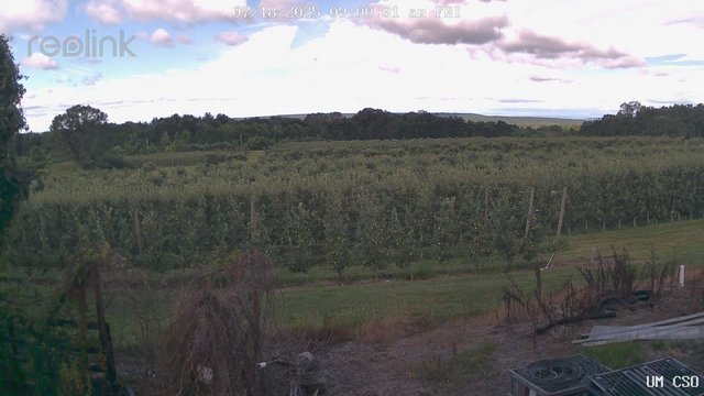 time-lapse frame, UM CSO webcam