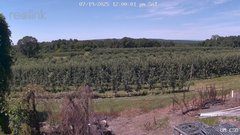 view from UM CSO on 2025-07-19