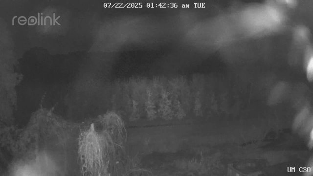 time-lapse frame, UM CSO webcam