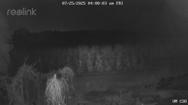time-lapse frame, UM CSO webcam