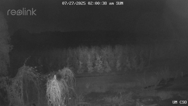 time-lapse frame, UM CSO webcam