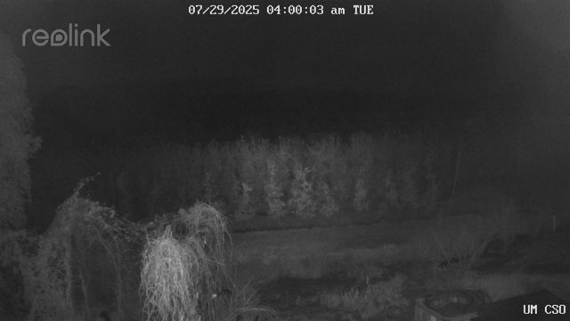 time-lapse frame, UM CSO webcam