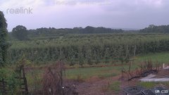 view from UM CSO on 2025-07-31