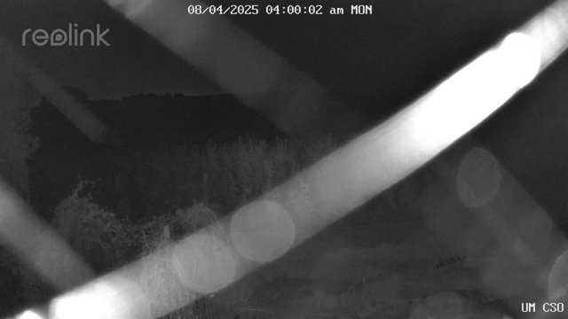 time-lapse frame, UM CSO webcam