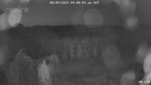 time-lapse frame, UM CSO webcam
