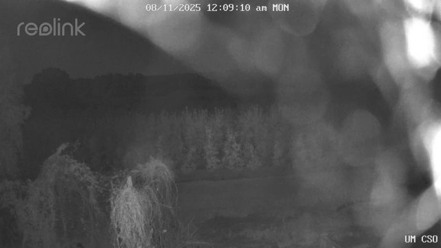 time-lapse frame, UM CSO webcam