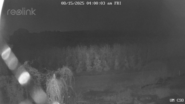 time-lapse frame, UM CSO webcam