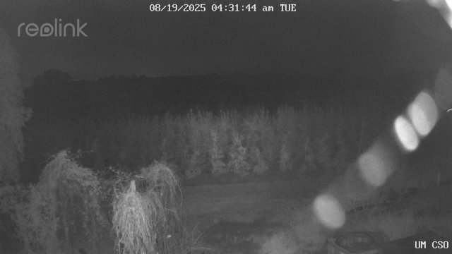 time-lapse frame, UM CSO webcam