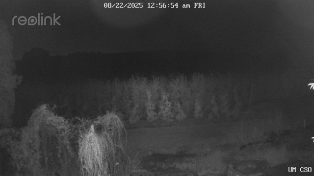 time-lapse frame, UM CSO webcam