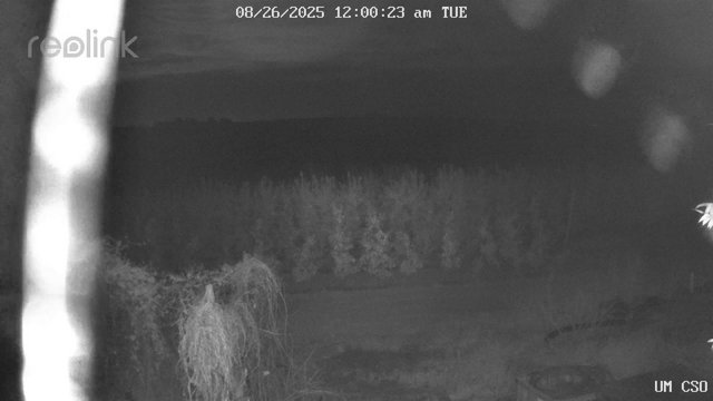 time-lapse frame, UM CSO webcam