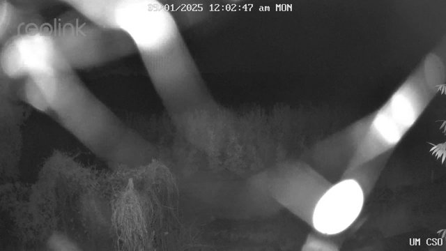 time-lapse frame, UM CSO webcam