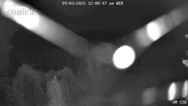 time-lapse frame, UM CSO webcam