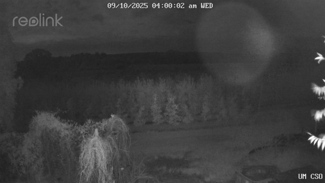 time-lapse frame, UM CSO webcam