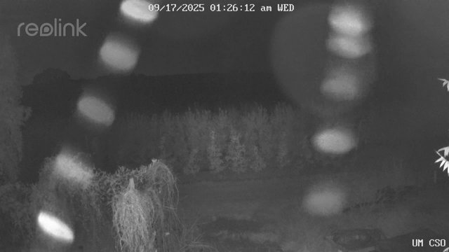 time-lapse frame, UM CSO webcam