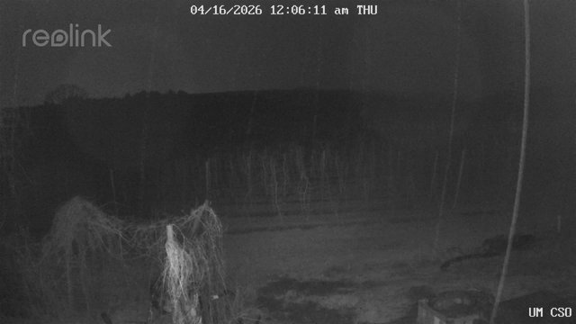 time-lapse frame, UM CSO webcam