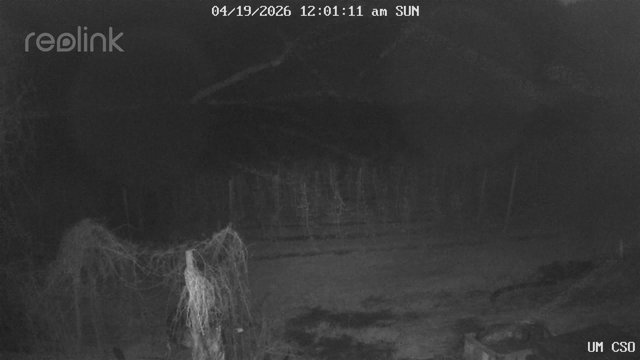 time-lapse frame, UM CSO webcam