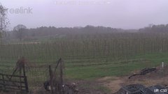 view from UM CSO on 2026-04-19