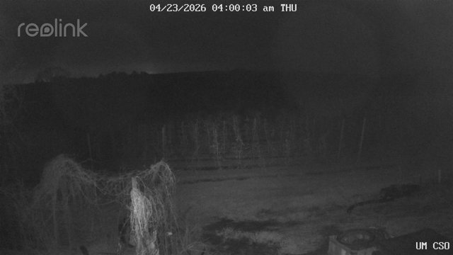 time-lapse frame, UM CSO webcam