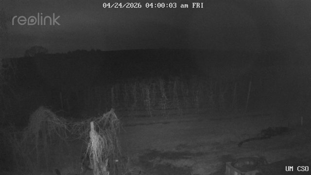 time-lapse frame, UM CSO webcam