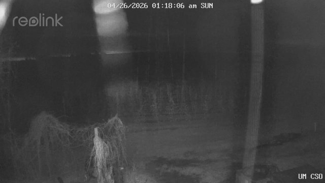 time-lapse frame, UM CSO webcam