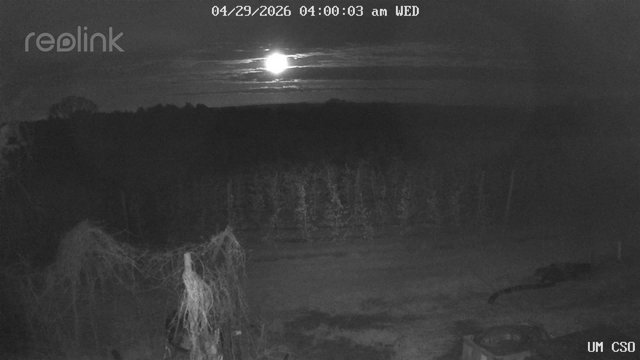 time-lapse frame, UM CSO webcam