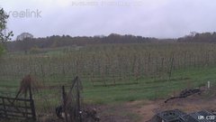 view from UM CSO on 2026-04-30