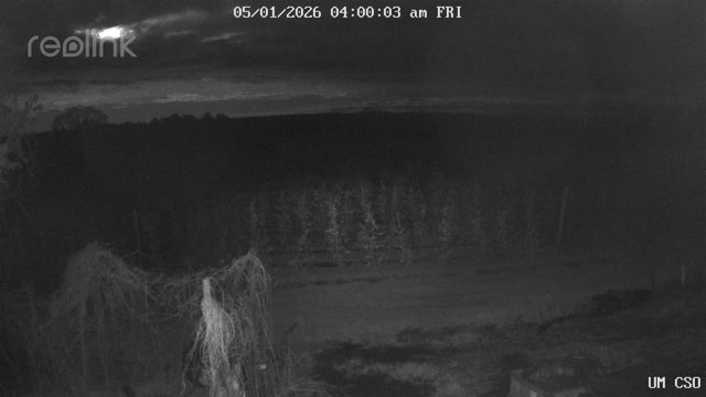 time-lapse frame, UM CSO webcam